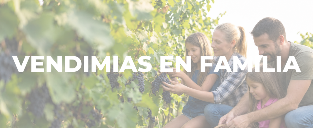 Vendimias en familia 2026 en Bodegas Valdemar