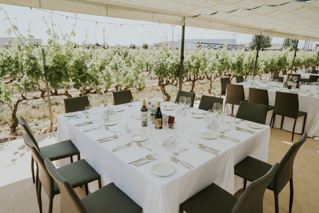 Terraza entre viñedos 1